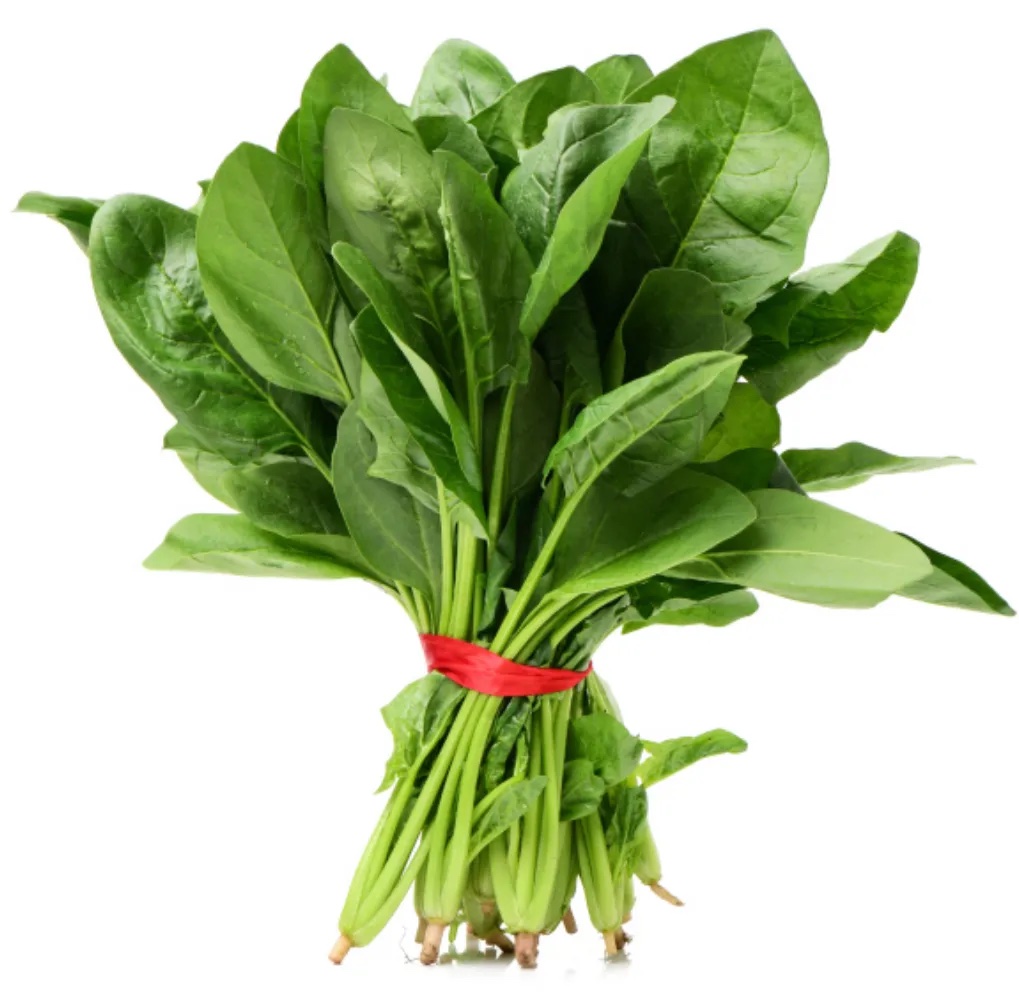 菠菜分级 第1张