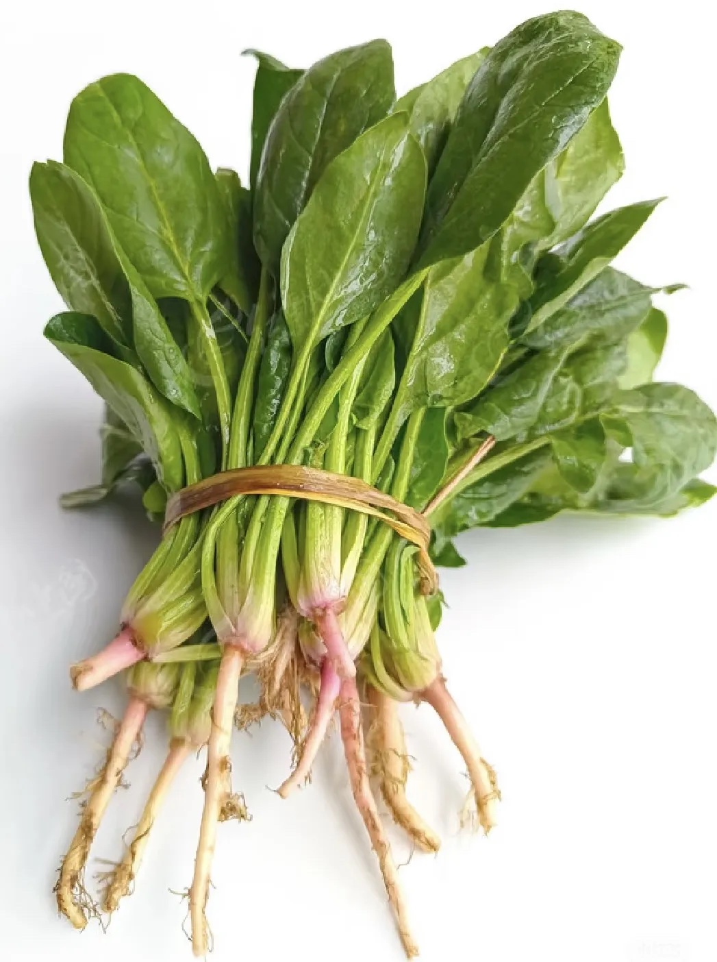 菠菜分级 第2张