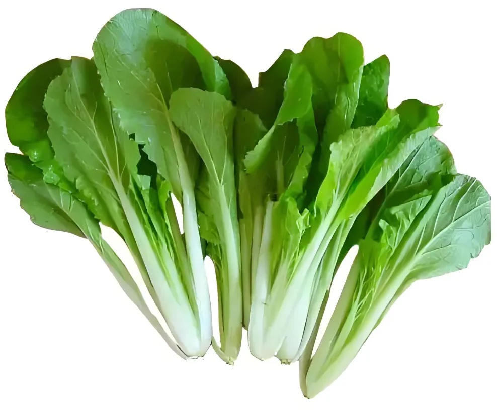 小白菜分级 第1张