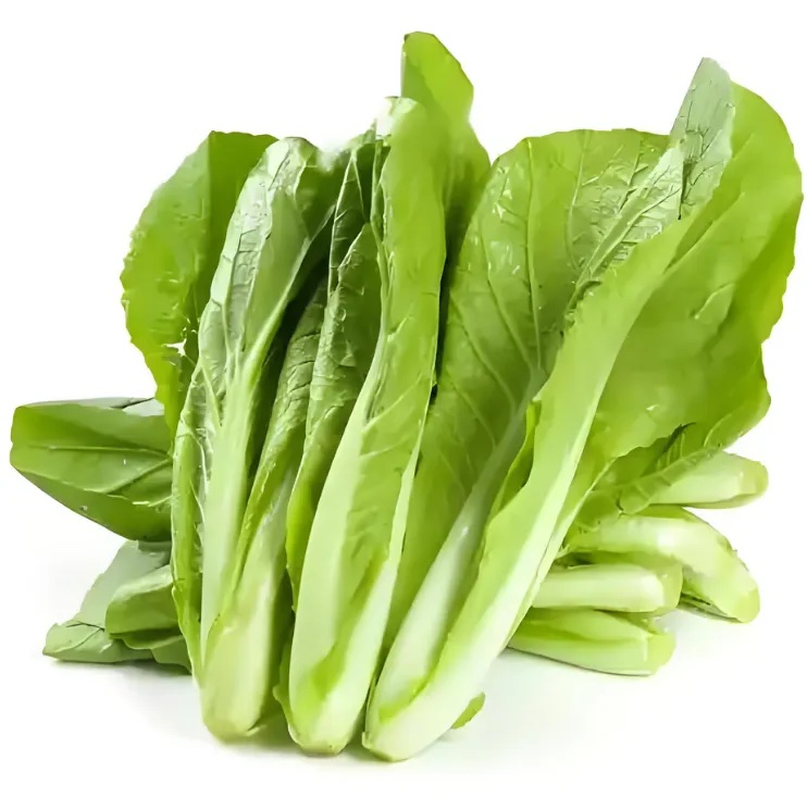 小白菜分级 第2张