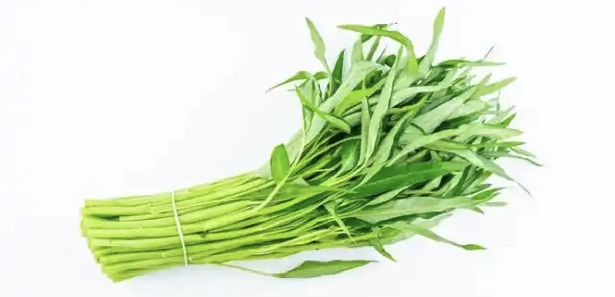 空心菜分级 第1张