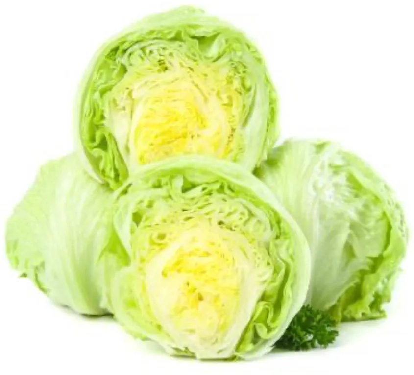 圆生菜分级 第1张