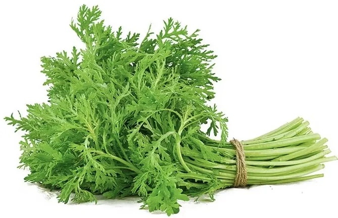 茼蒿分级 第2张