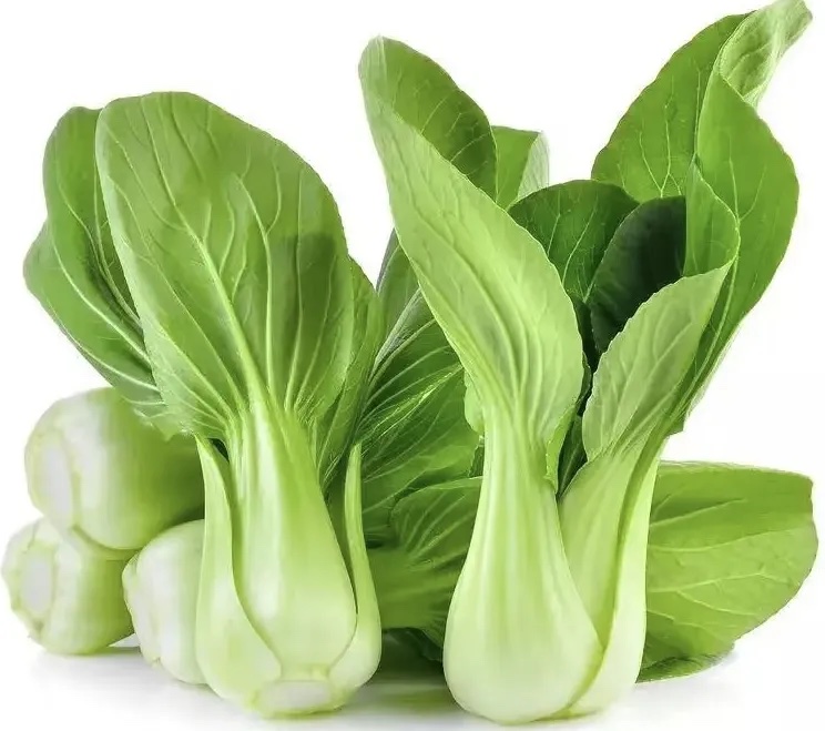 小青菜分级 第2张