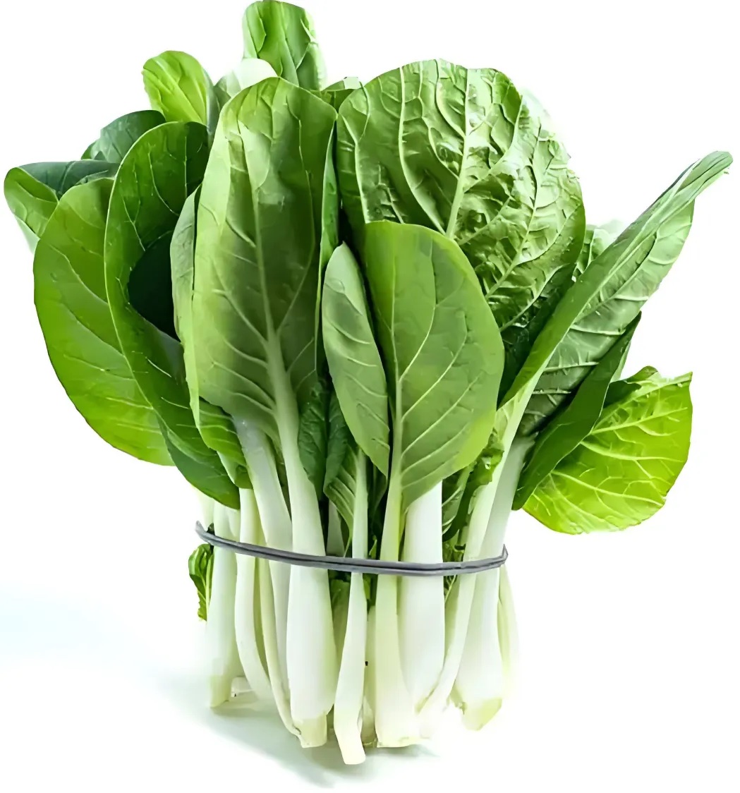 小青菜分级 第4张