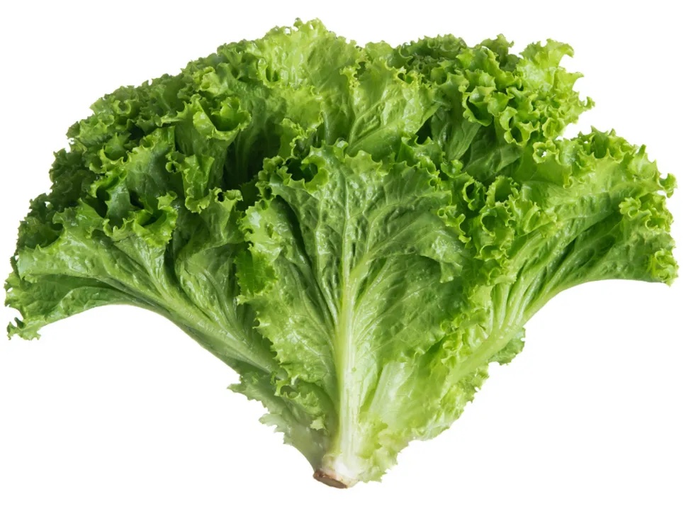 生菜分级 第1张