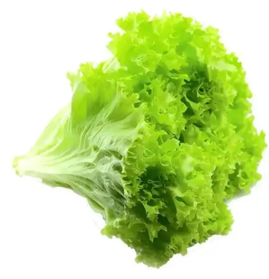 生菜分级 第2张