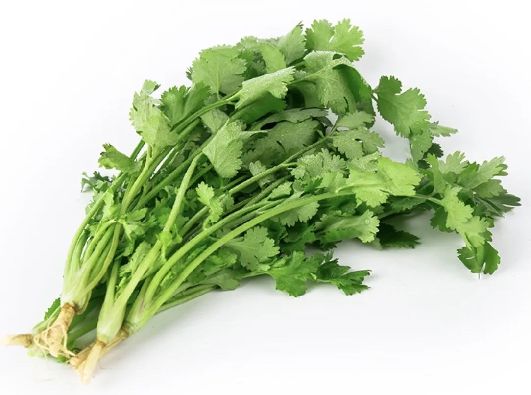 香菜分级 第1张