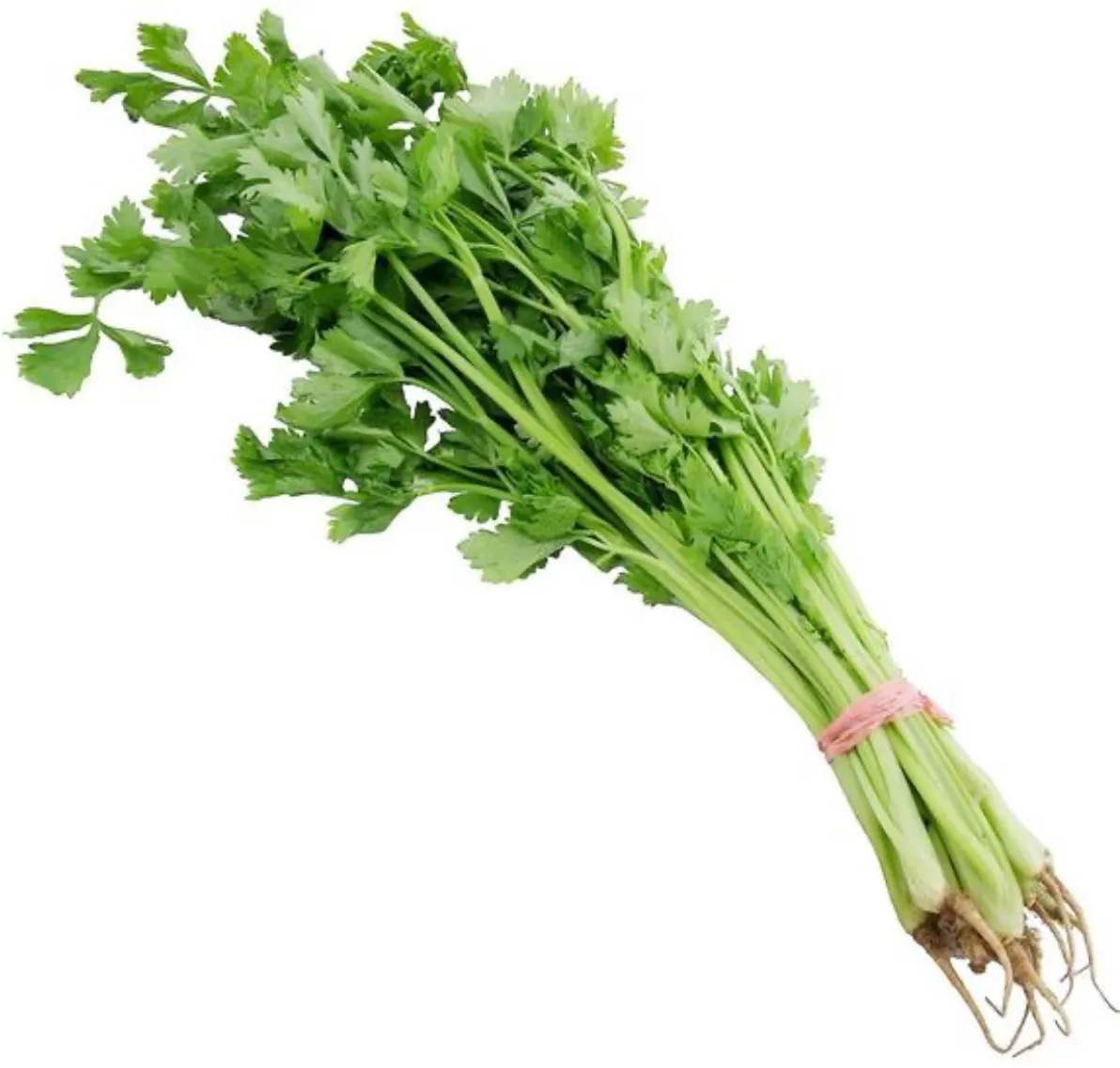 西芹分级 第1张