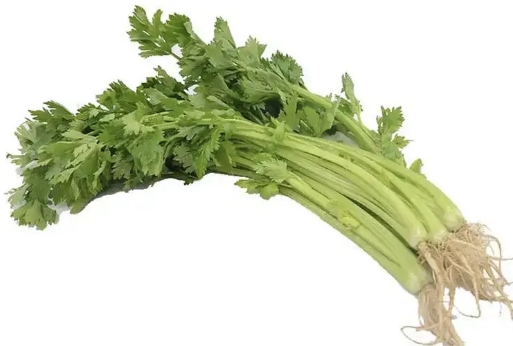 西芹分级 第2张