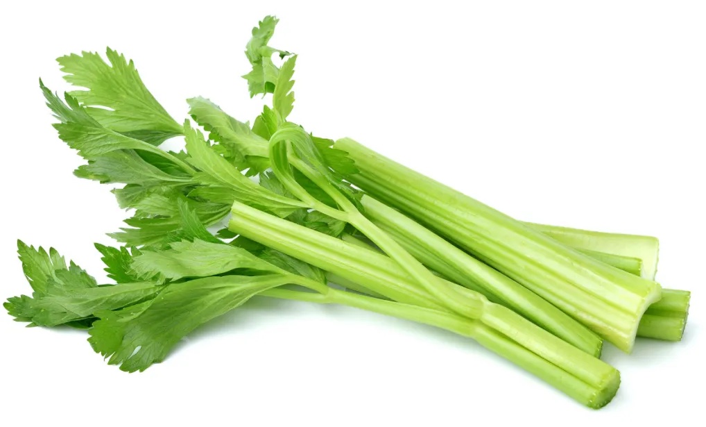 芹菜分级 第2张
