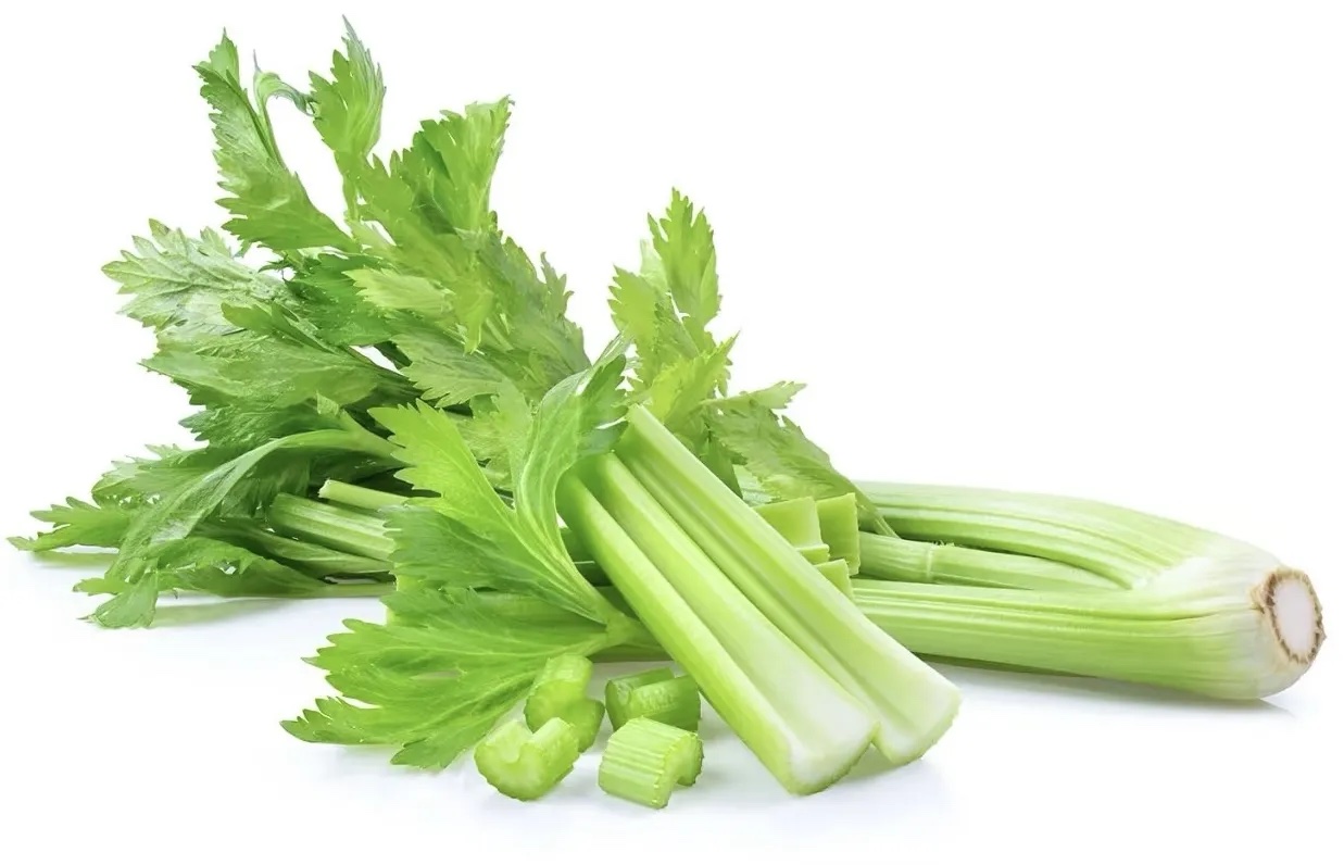 芹菜分级 第4张