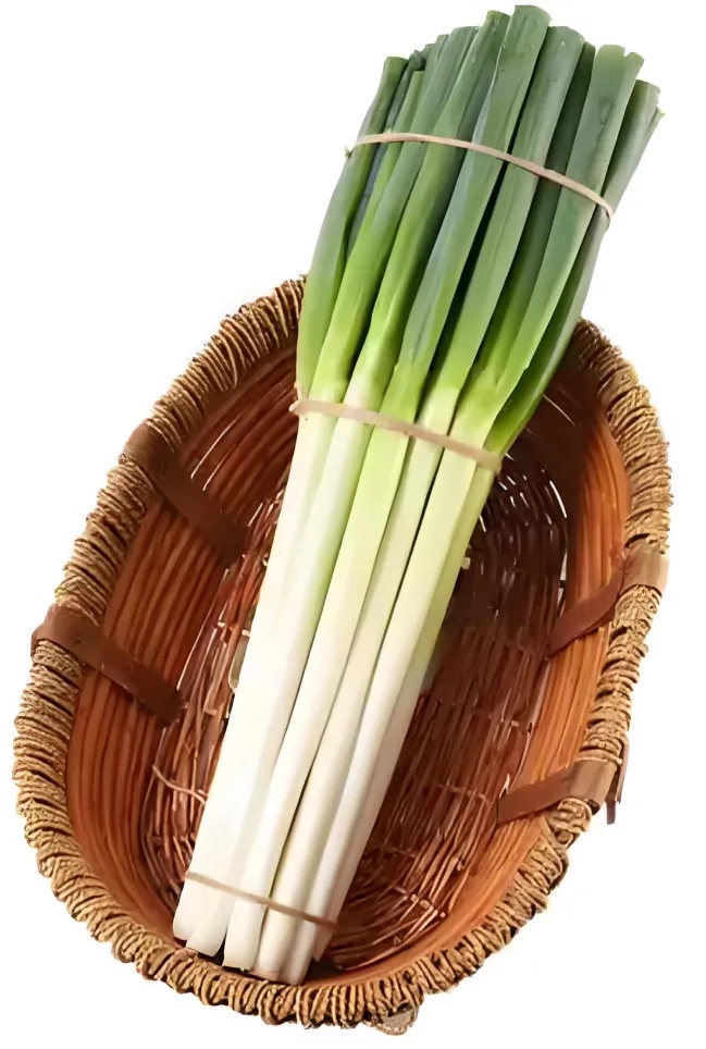 大葱分级 第1张