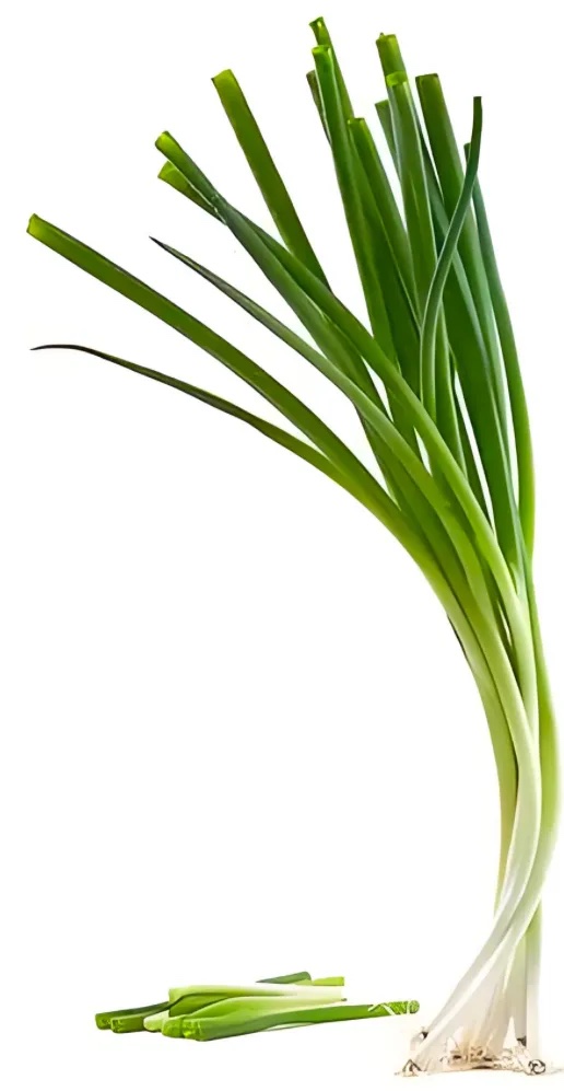 小葱分级 第2张