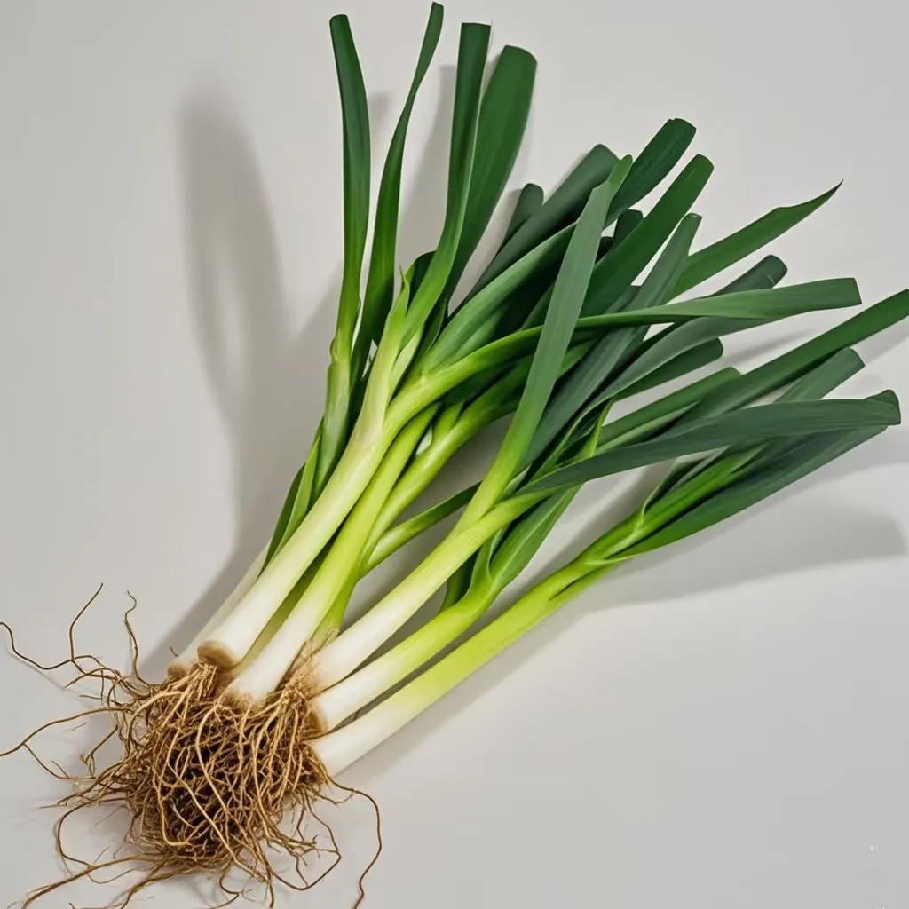 小葱分级 第4张