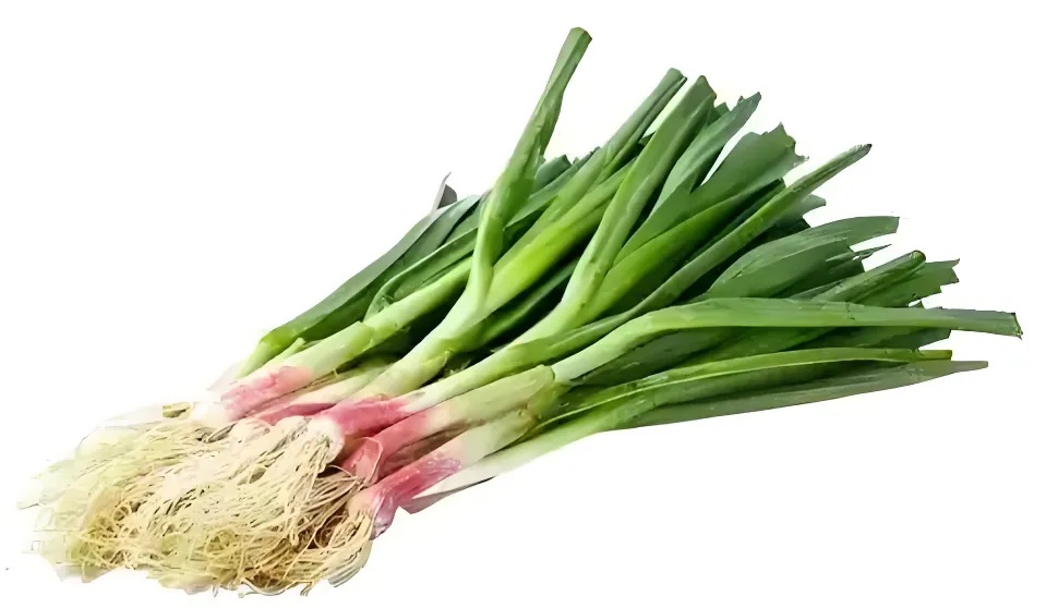 蒜苗分级 第1张