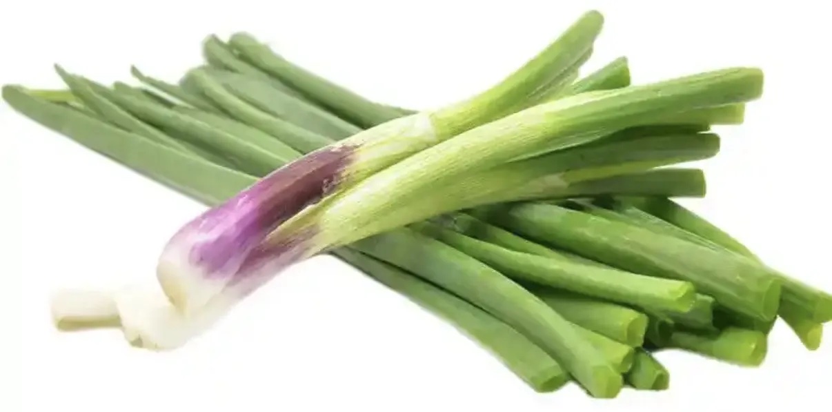 蒜苗分级 第4张