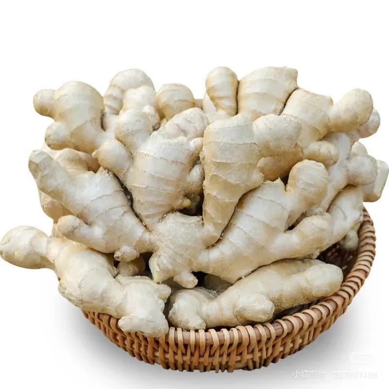 生姜分级 第3张