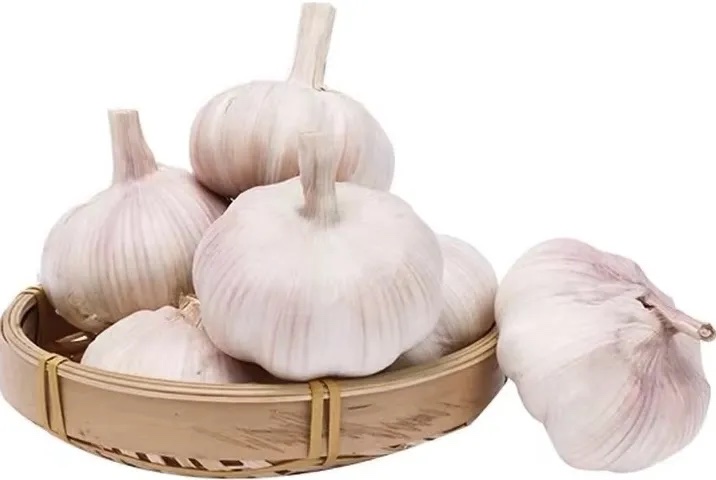大蒜分级 第2张