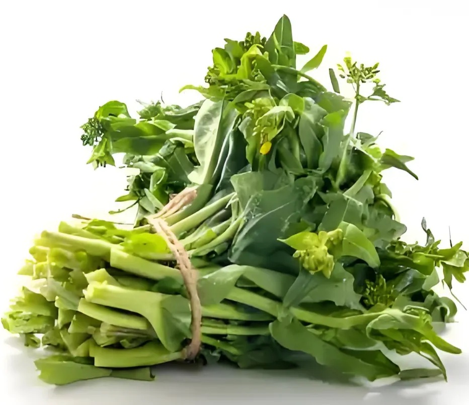 菜苔分级 第1张