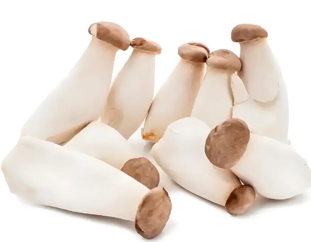 杏鲍菇分级 第2张