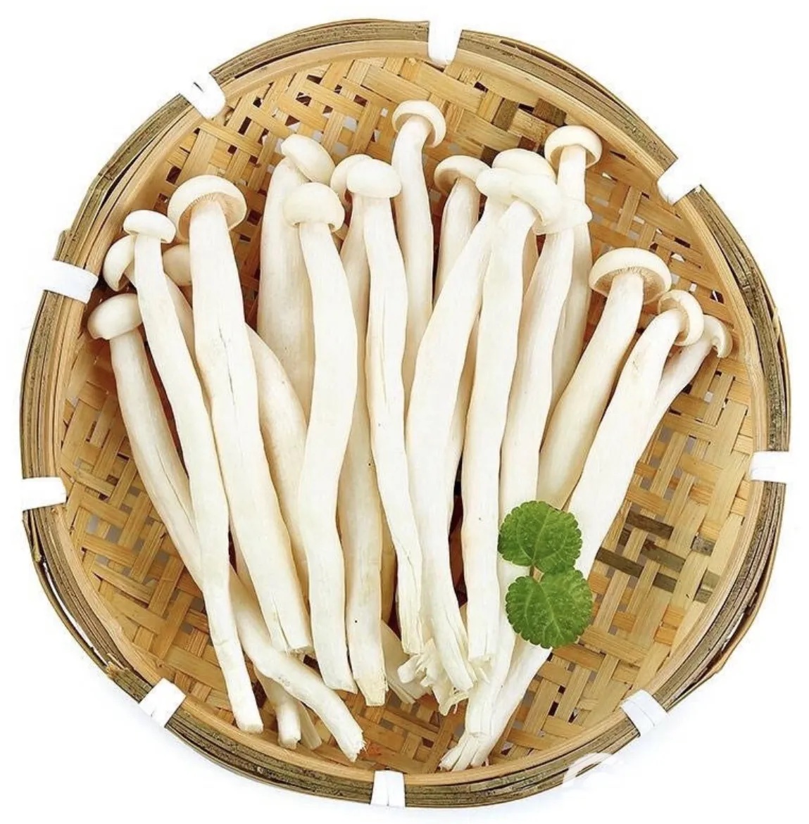 白玉菇分级（包） 第1张