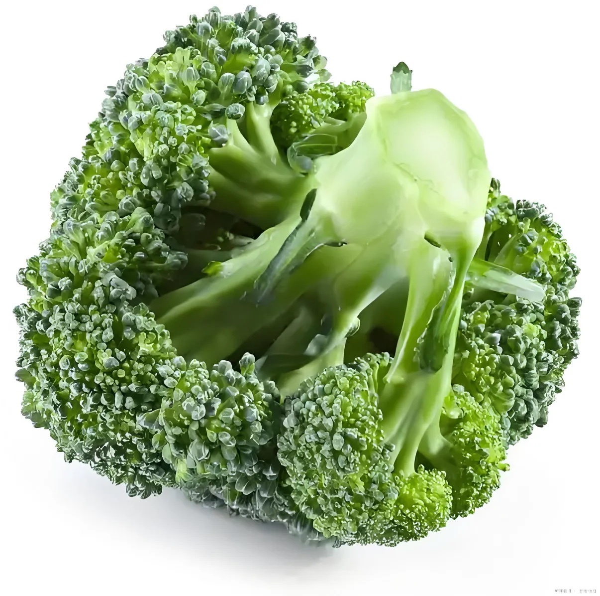 西兰花分级 第3张
