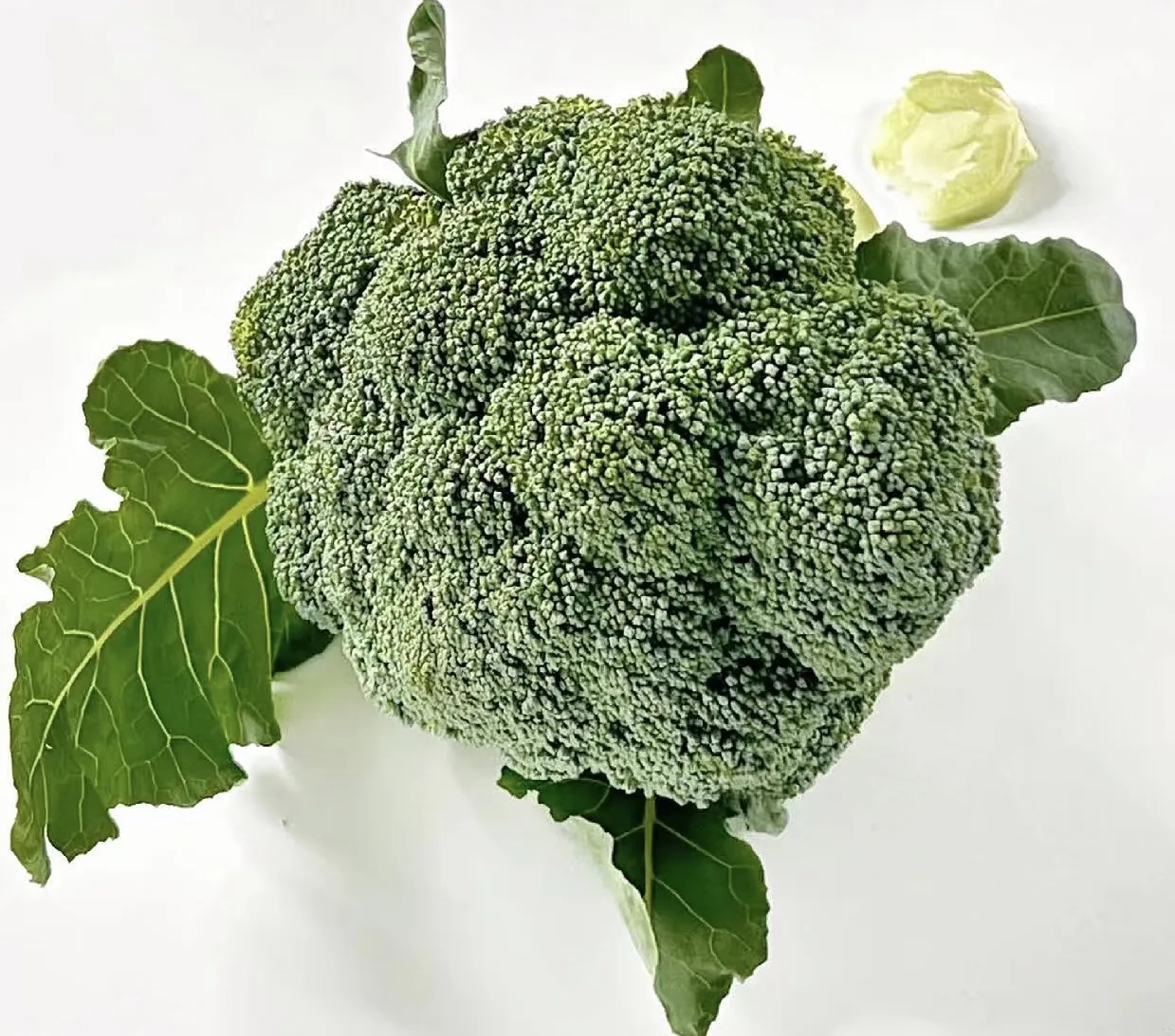 西兰花分级 第5张