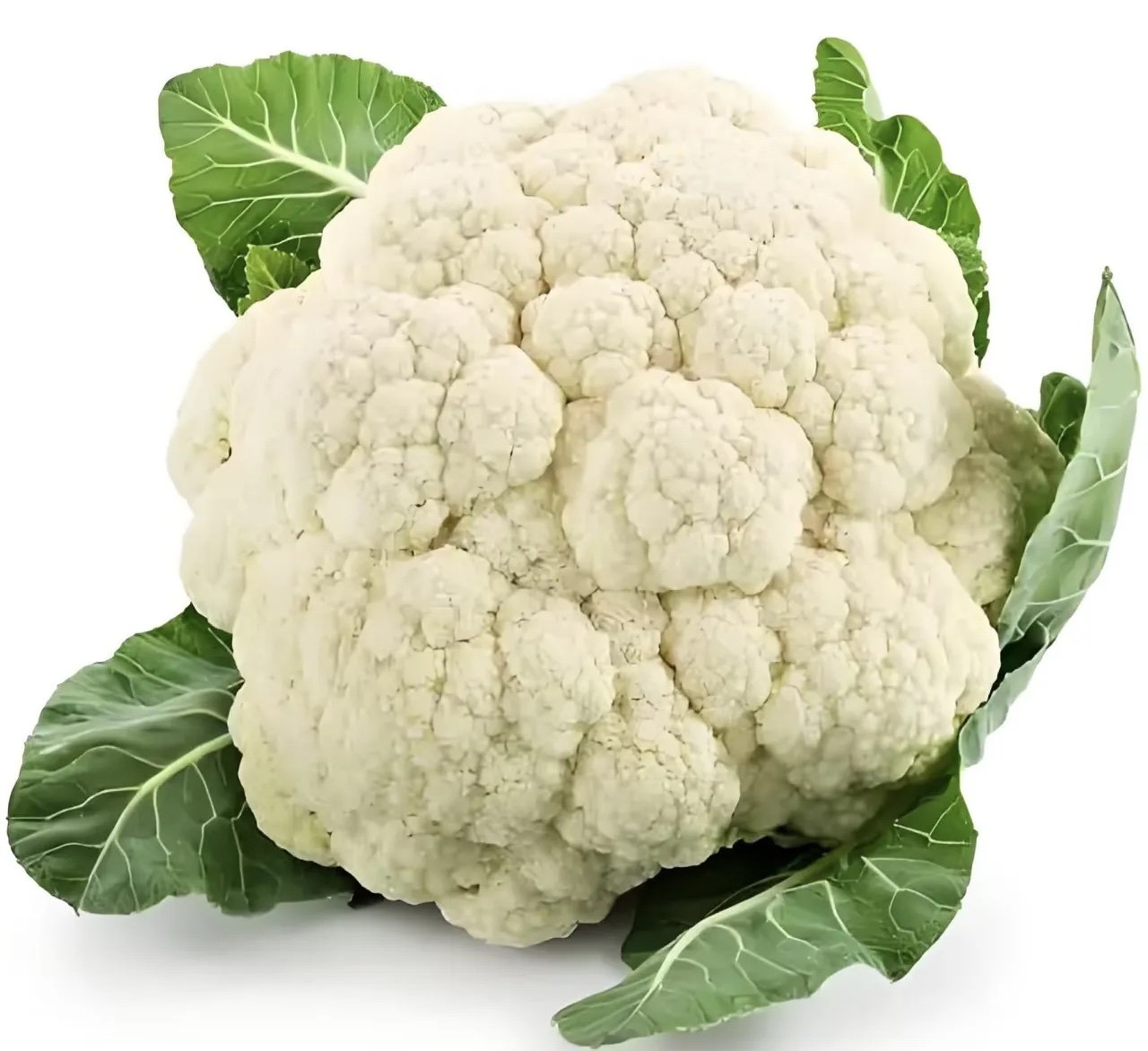 菜花分级 第5张