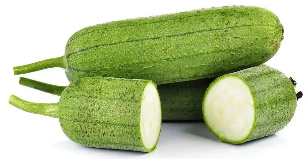 丝瓜分级 第4张