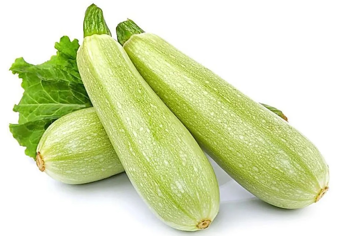 西葫芦分级 第1张