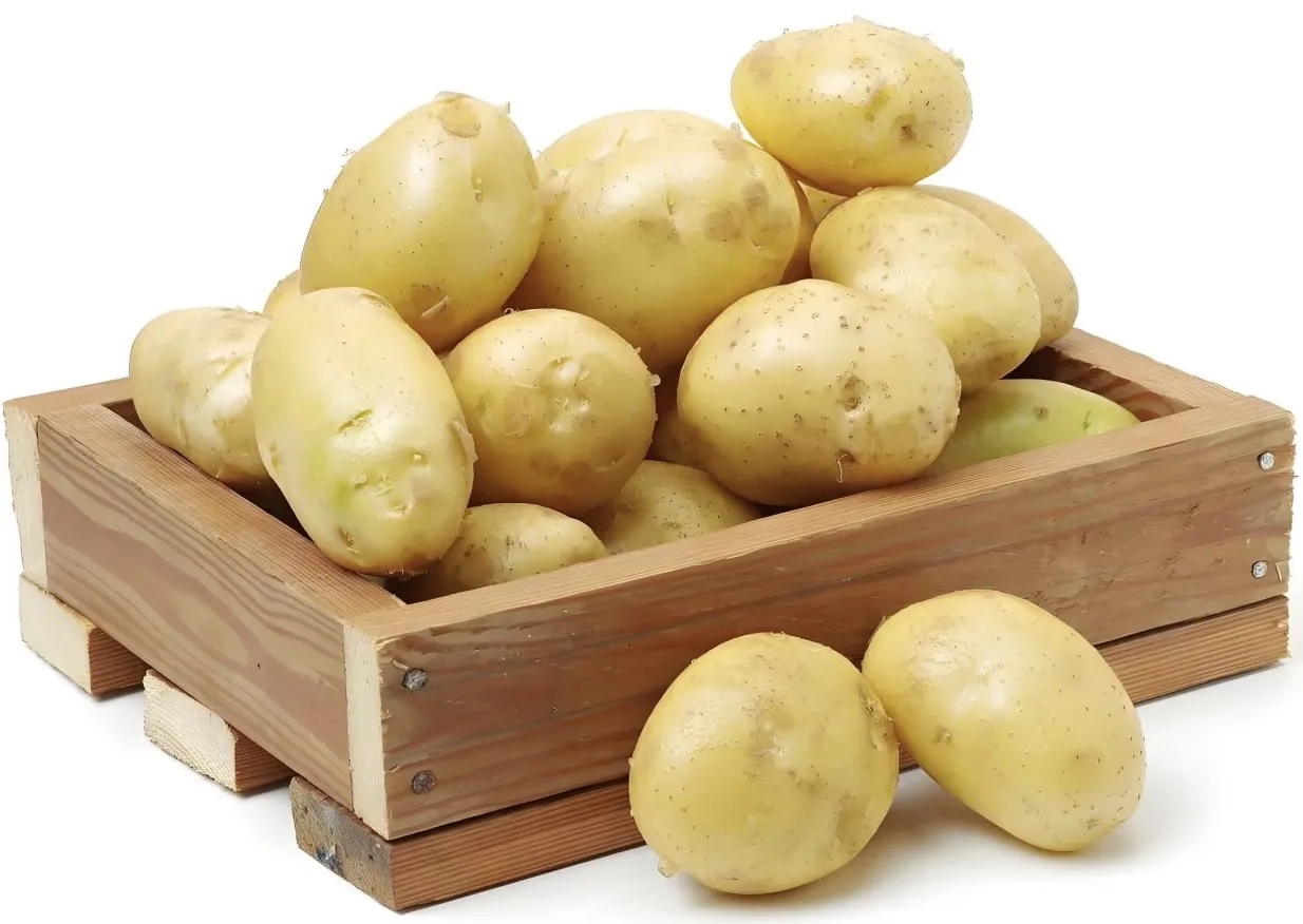 新土豆分级 第5张
