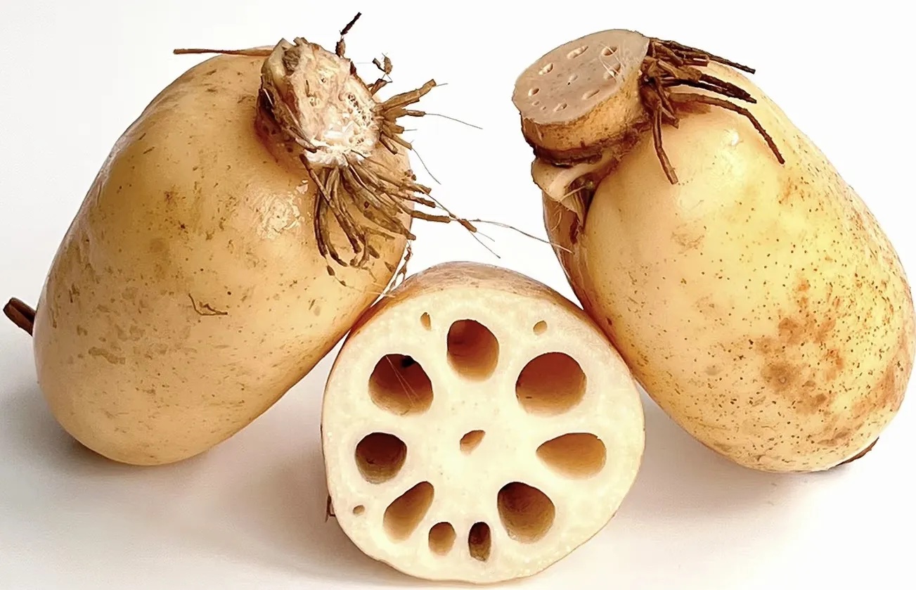 莲藕分级 第3张