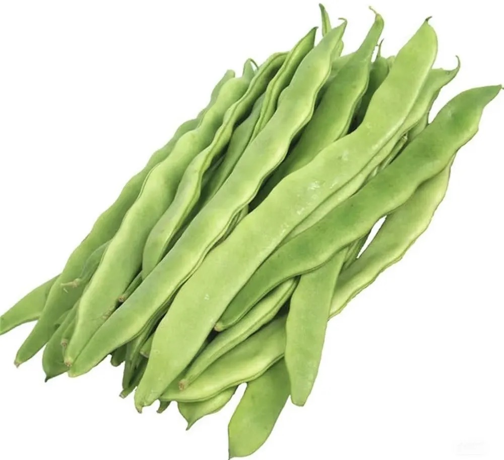 扁豆分级 第2张