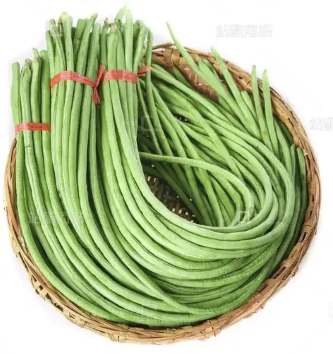 豇豆分级 第1张