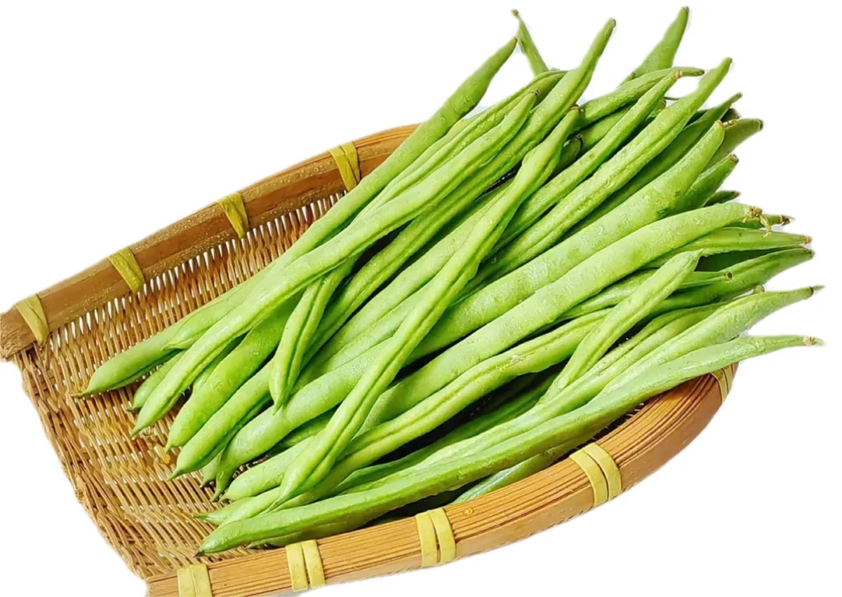 豆王分级 第1张