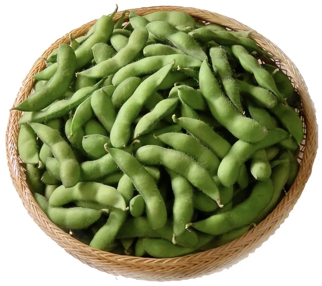 毛豆分级 第1张