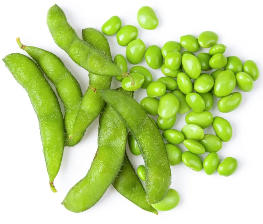 毛豆分级 第2张