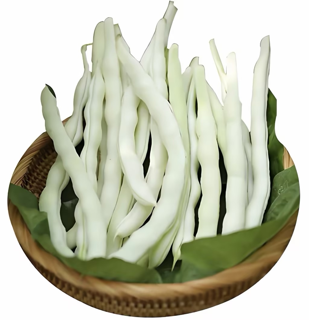 白肉豆角分级 第1张