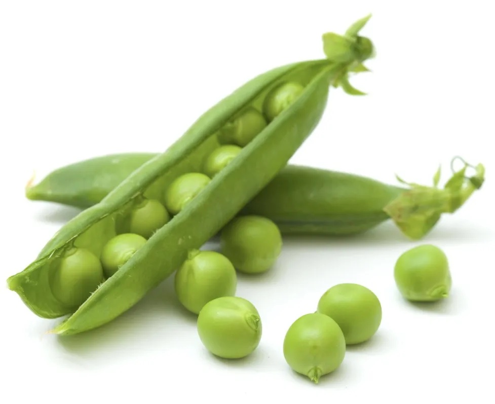 甜豆分级 第1张