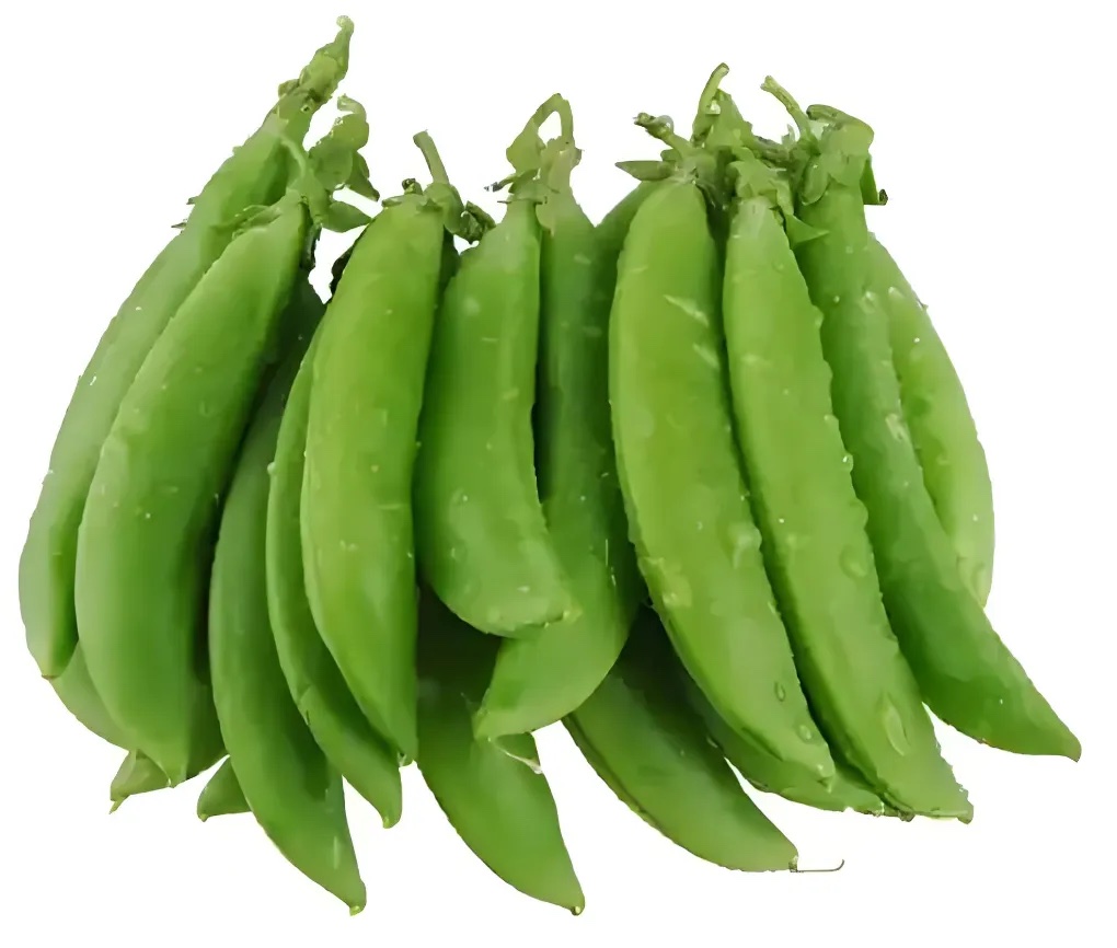 甜豆分级 第2张