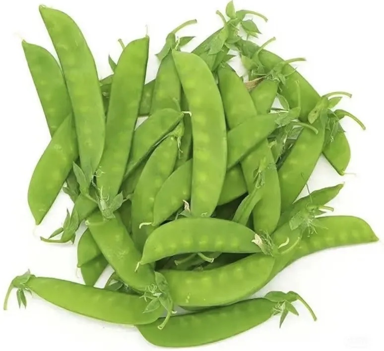 甜豆分级 第3张